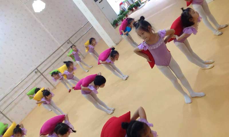 湖北潛江雅韻舞社舞蹈室地板 湖北潛江雅韻舞社舞蹈室地板