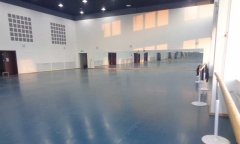 沈陽市渾南新區沈陽歌舞團舞蹈地板