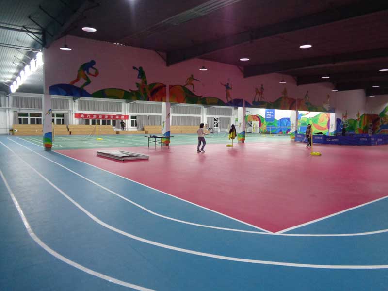 個性化pvc運動地板打印機(jī)打開新市場