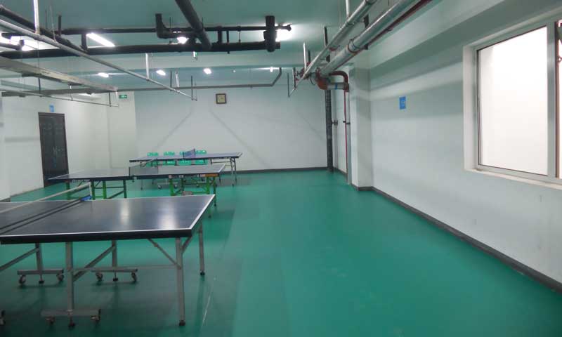 室內乒乓球館地板企業凝聚力淺談